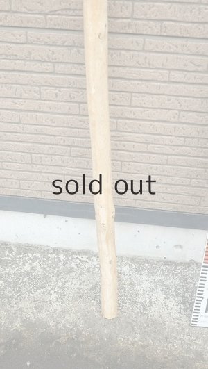 画像5: 棒流木・長尺