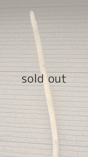 画像4: 棒流木・長尺