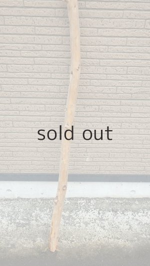 画像2: 棒流木・長尺