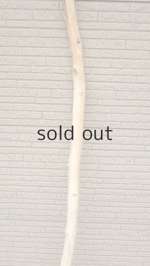 画像3: 棒流木・長尺