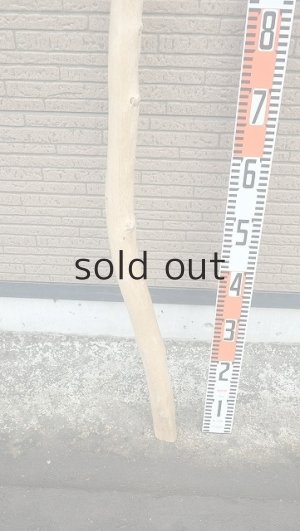 画像5: 棒流木・長尺