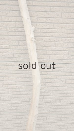 画像3: 棒流木・長尺