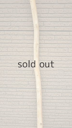 画像3: 棒流木・長尺