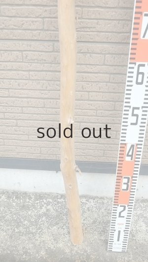 画像5: 棒流木・長尺