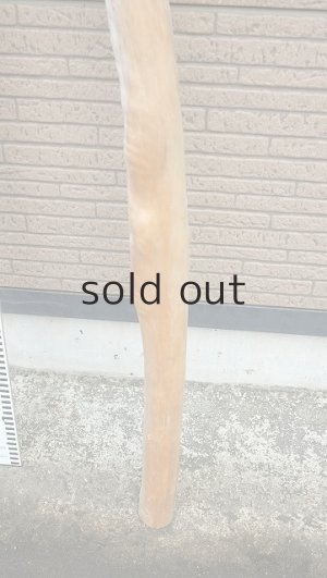 画像5: 棒流木・長尺