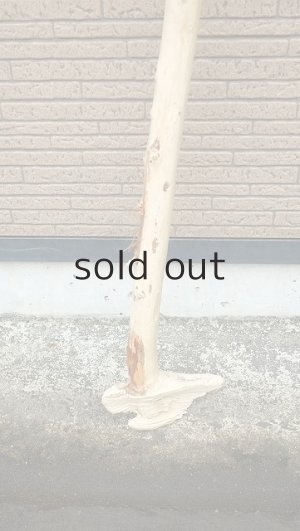 画像2: 棒流木・長尺