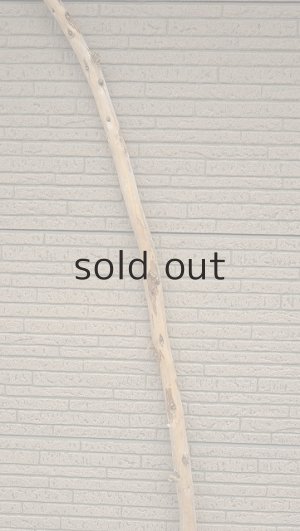 画像3: 棒流木・長尺