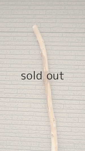 画像4: 棒流木・長尺