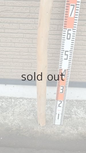 画像5: 棒流木・長尺