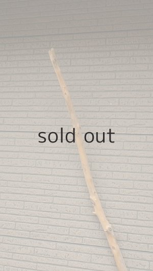 画像4: 棒流木・長尺