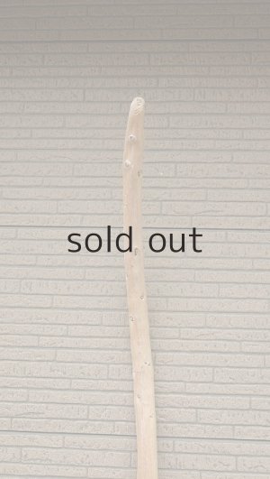 画像4: 棒流木・長尺