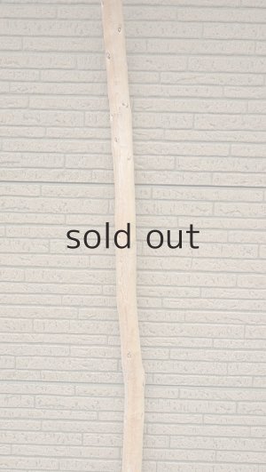 画像3: 棒流木・長尺