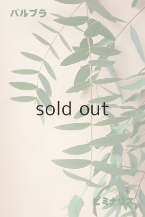 比較画像　右：パルブラ   左：ビミナリス