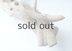 画像9: 変形流木（中型）