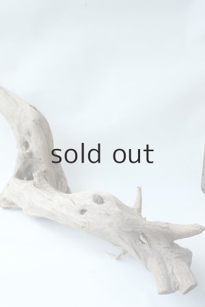 画像8: 変形流木（中型）