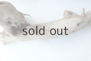 画像6: 変形流木（中型）