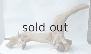 画像2: 変形流木（中型）