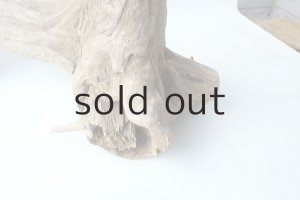 画像4: 変形流木（中型）