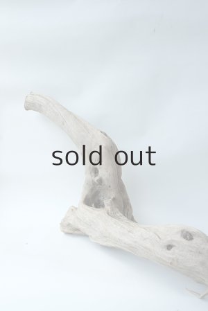 画像7: 変形流木（中型）