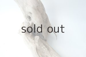 画像10: 変形流木（中型）