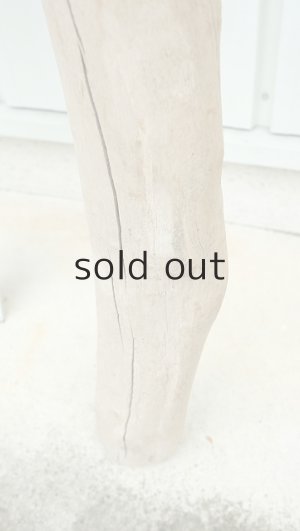 画像8: 大型　幹