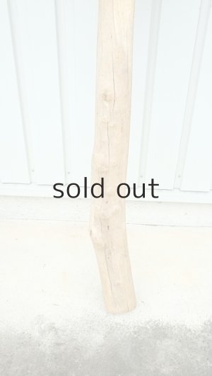 画像2: 大型　幹