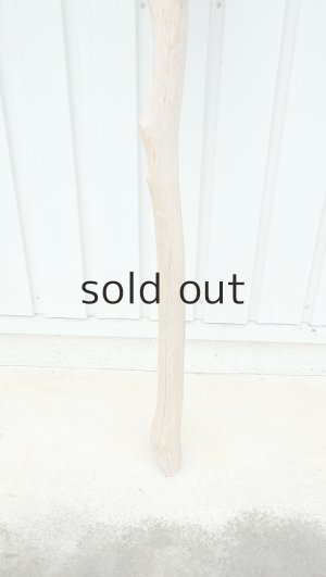 画像2: 大型　幹