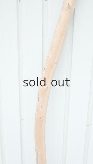 画像3: 大型　棒