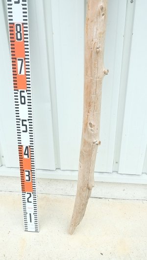 画像5: 大型　棒