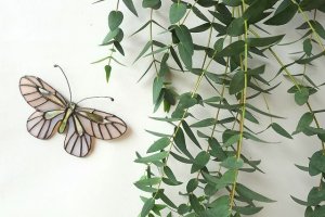 画像6: Dry plants for decor ユーカリ生切り枝（パルブラ）タイプ500〜700mm