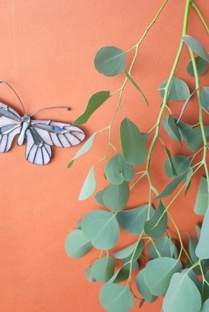 画像6: Dry plants for decor ユーカリ生切り枝（ポポラス）タイプ500mm