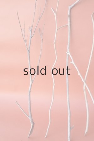 画像2: 小枝流木セット