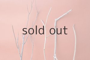 画像6: 小枝流木セット