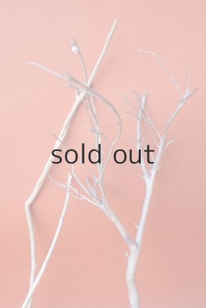 画像5: 小枝流木セット