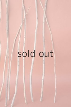 画像6: 棒流木セット