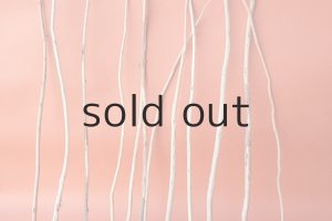 画像3: 棒流木セット