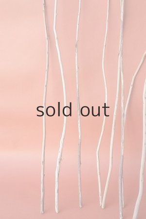 画像5: 棒流木セット