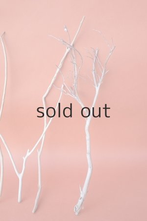 画像4: 小枝流木セット