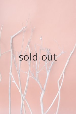 画像7: 小枝流木セット