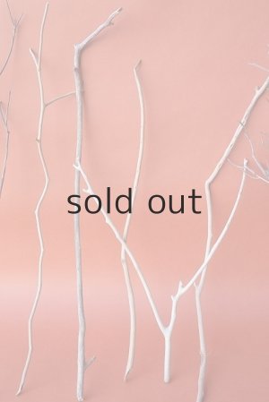 画像3: 小枝流木セット