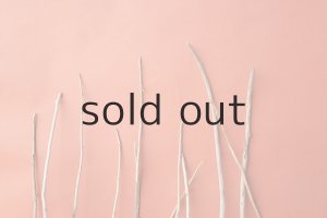 画像4: 棒流木セット