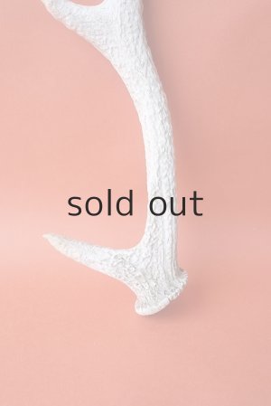 画像2: デコール用二ホンジカの角＊outlet＊