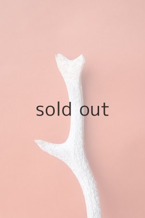 画像3: デコール用二ホンジカの角＊outlet＊