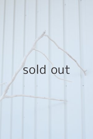 画像10: 大型　幹