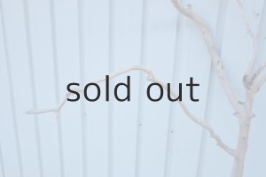 画像7: 大型　幹