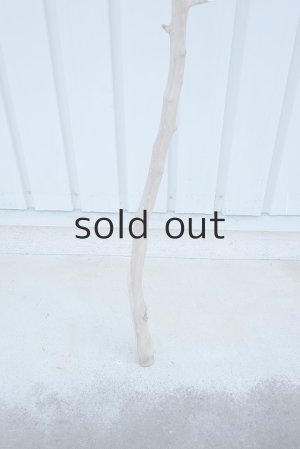 画像2: 大型　幹