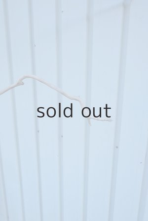 画像12: 大型　幹