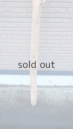 画像2: 棒流木・長尺