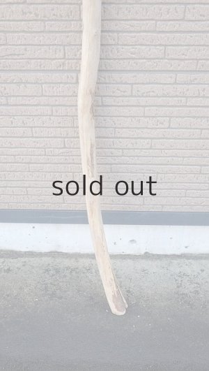 画像2: 棒流木・長尺