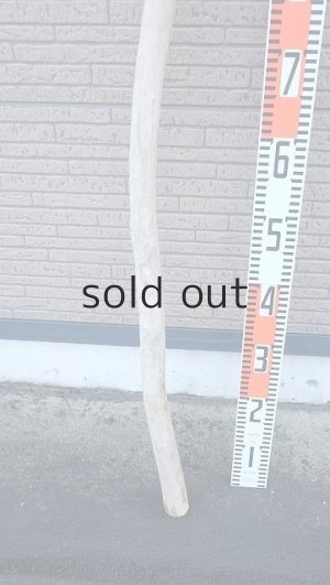 画像5: 棒流木・長尺